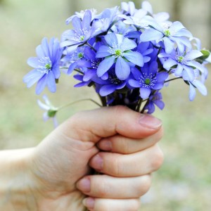 تصویر وبلاگ اشتراک